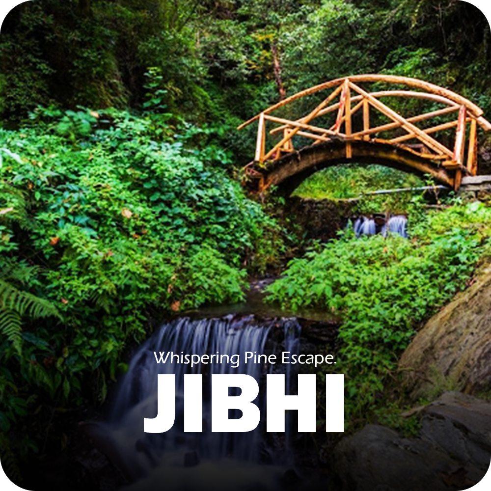 A vibrant scene from Jibhi